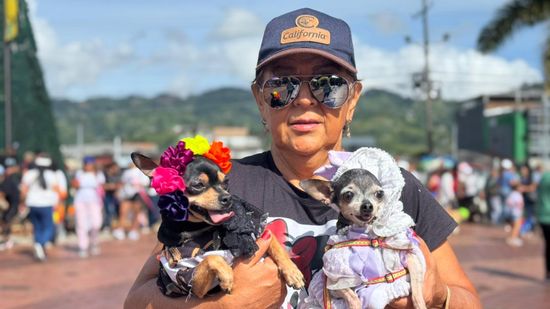 Cerca de 500 mascotas hacen historia en Dosquebradas con  la primera ‘Caninata’